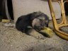 imgp0387.jpg - 