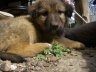imgp0405.jpg - 