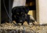 imgp0407.jpg - 