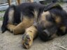 imgp0412.jpg - 