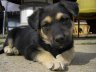 imgp0432.jpg - 